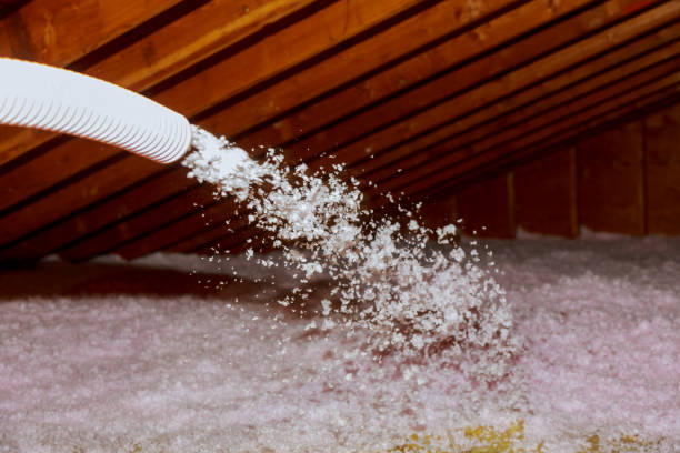 Best Types of Insulation in East End, AR